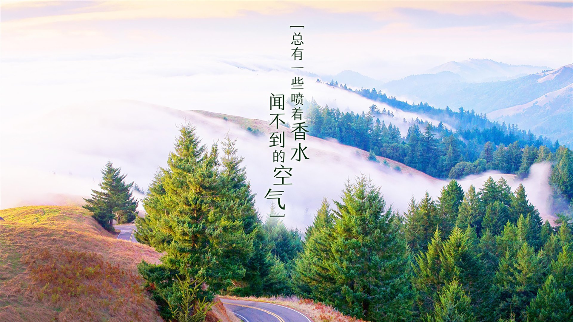 意甲球迷忠诚计划对比赛日收入改善的作用，意甲忠诚球员