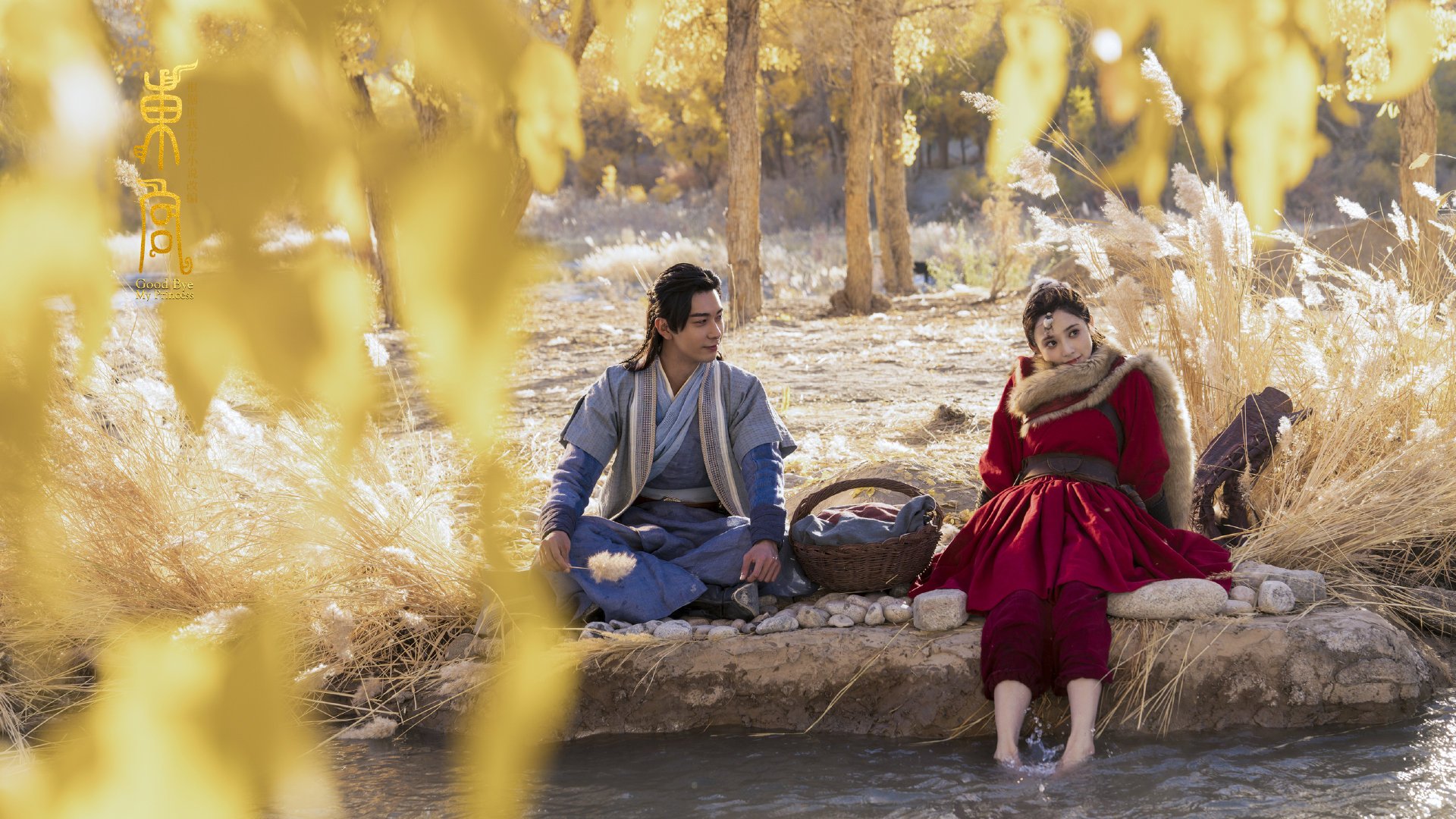 蛙泳强项比利时女队进入决赛,女子蛙泳世界冠军